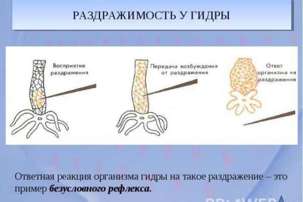 Кракен даркшоп