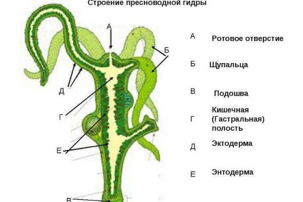 Ссылка на кракен в тор браузере