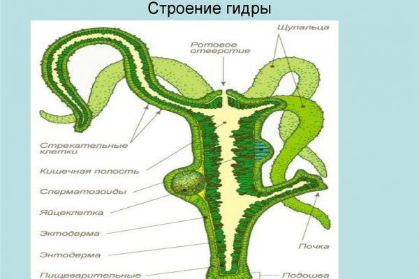 Действующие ссылки на кракен