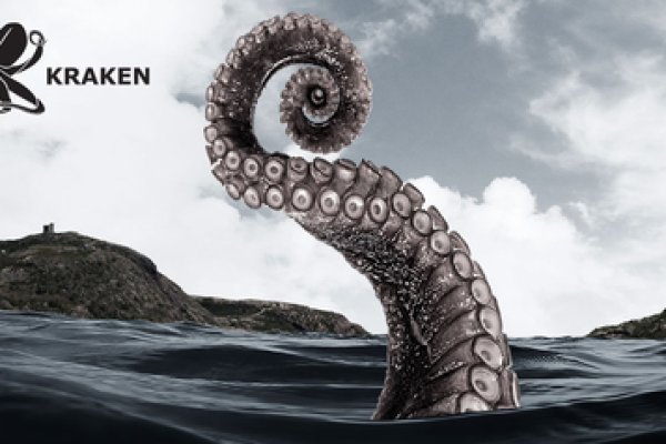 Kraken dark net